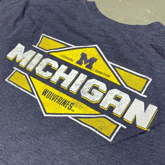Michigan Wolverines Shirt Large Big Blue NCAA Arena Logo Brady Champion - Picture 5 of 8